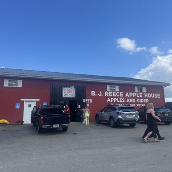 BJ Reece Orchards - Farm stand - Fruits & Veggies Near Me - Ellijay, Georgia
