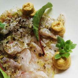 Patrasche - Voorgerecht ceviche van zeebaars
