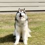 Photo of Club Fetch