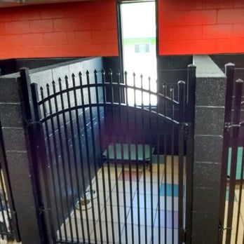 Barkingham Palace - This is our spacious standard size kennel (4ftx8ft) - Pet Sitting Near Me - Huntington, West Virginia Barkingham Palace - This is our spacious standard size kennel (4ftx8ft) - Pet Sitting Near Me - Huntington, West Virginia