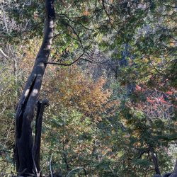 Hilton Falls Conservation Area