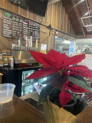 tiny grocer ABQ by null