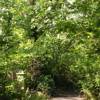 Nunhead Cemetery - Funeral Services & Cemeteries Near Me - London, XGL