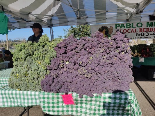 Hillsdale Farmers' Market by null