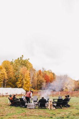 The Fields of Michigan by null