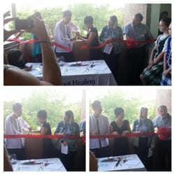 Root Healing Acupuncture - Acupuncture grand opening in Dunedin, near Palm Harbor and Clearwater