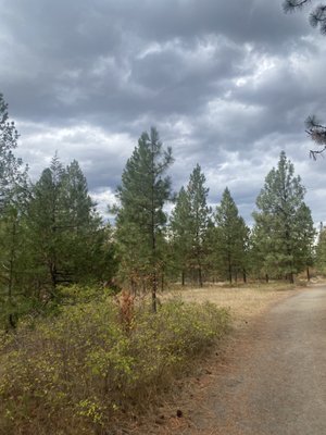 Kalamalka Lake Provincial Park by null