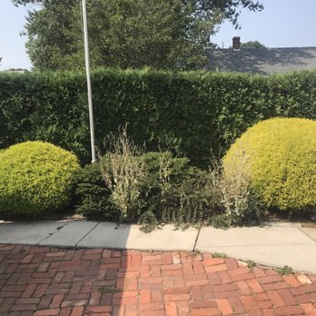 LD's Lawn Service - Lawn Services Near Me - Riverside, Rhode Island