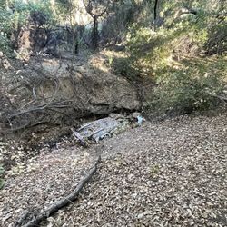Corbin Canyon Park - Car in the ravine.
