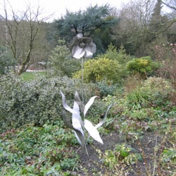 Rhs Garden
