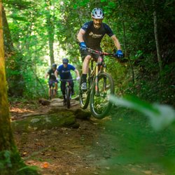 Squatch Bikes & Brews