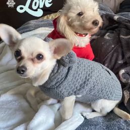 Baby and pj go on a road trip from Christmas Baby and pj go on a road trip from Christmas
