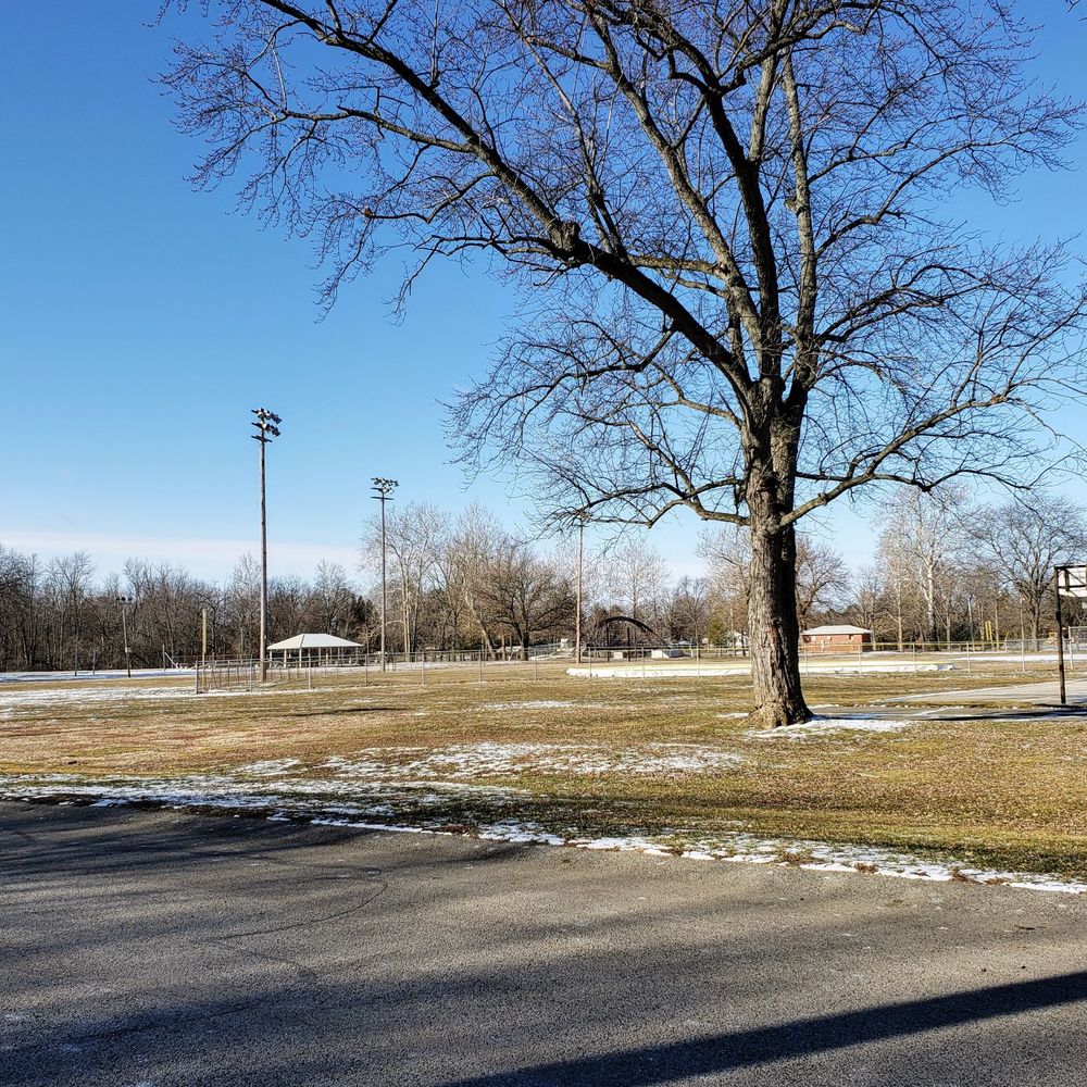 Ellis Park - View of Ellis Park - Skate Parks Near Me - Blissfield, Michigan