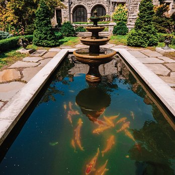 Fitz's Fish Ponds - Local Fish Stores Near Me - Fairfield, New Jersey