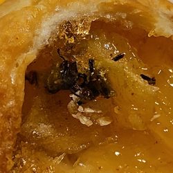 McDonald's - Dead spider in my pie