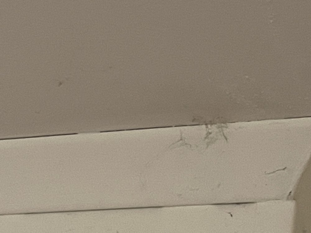 Slide of Redmonds GW