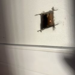 The Curly Headed Plumber