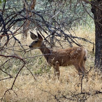 The Grotto Trail - September 2, 2026 - Along the trail. - Hiking Near Me