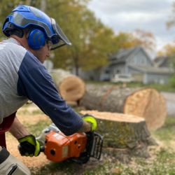 Lynch Tree Company