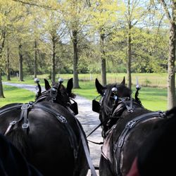 Silvershire Farm