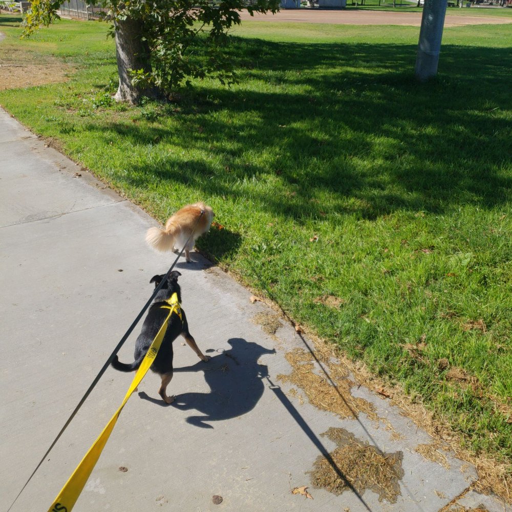 Hall Memorial Park - Doggy walk!! - Skate Parks Near Me - Dixon, California