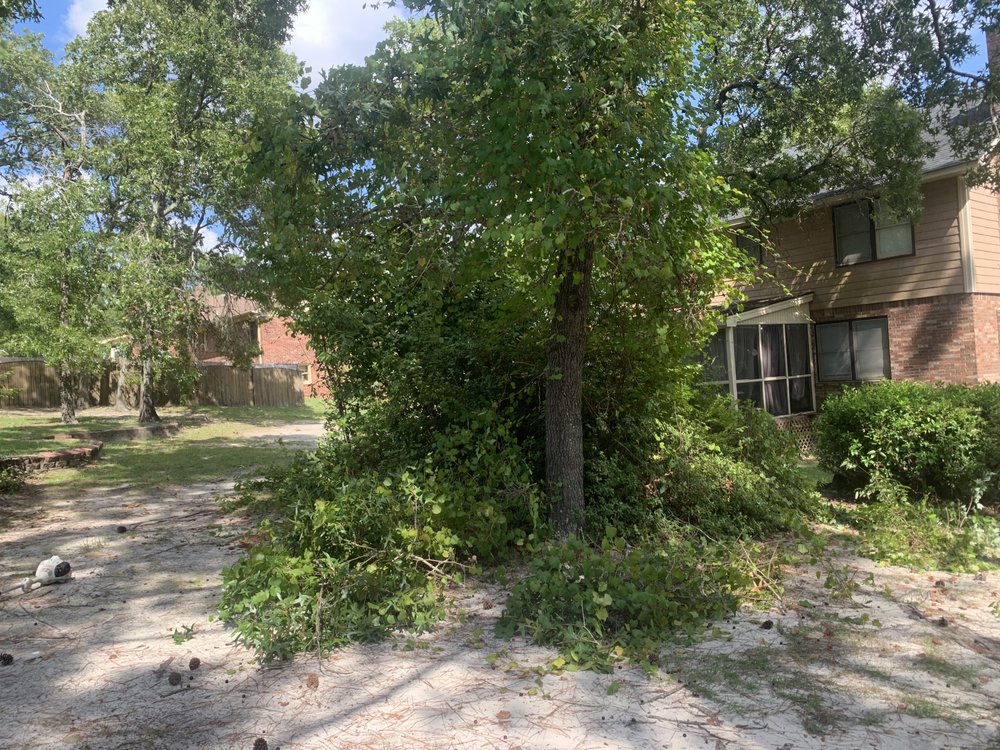 W&C Lawn Service - tree service in Columbia, SC