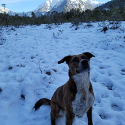 Indian River Trail - Random dog came along