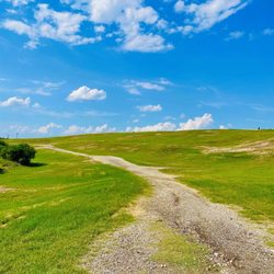 Pearsall Park - Pearsall Park