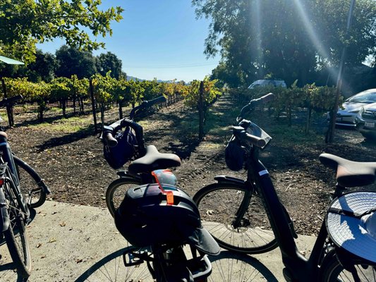Napa Valley Bike Tours & Rentals by null