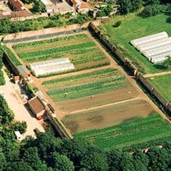 Leigh Court Farm - From website