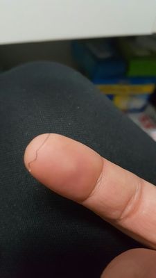 Highline Deli II by null