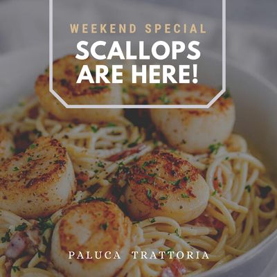 Paluca Trattoria by null