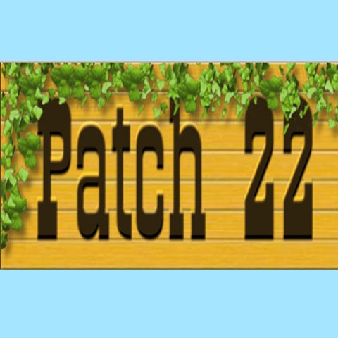 Patch 22 - equestrian in Wadsworth, IL
