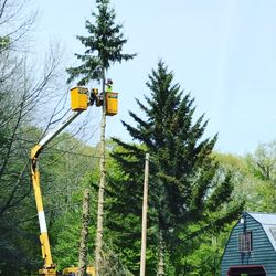 Kelley Brothers Landscaping & Tree Service