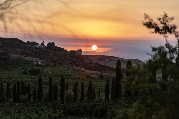 Akash Winery & Vineyard by null