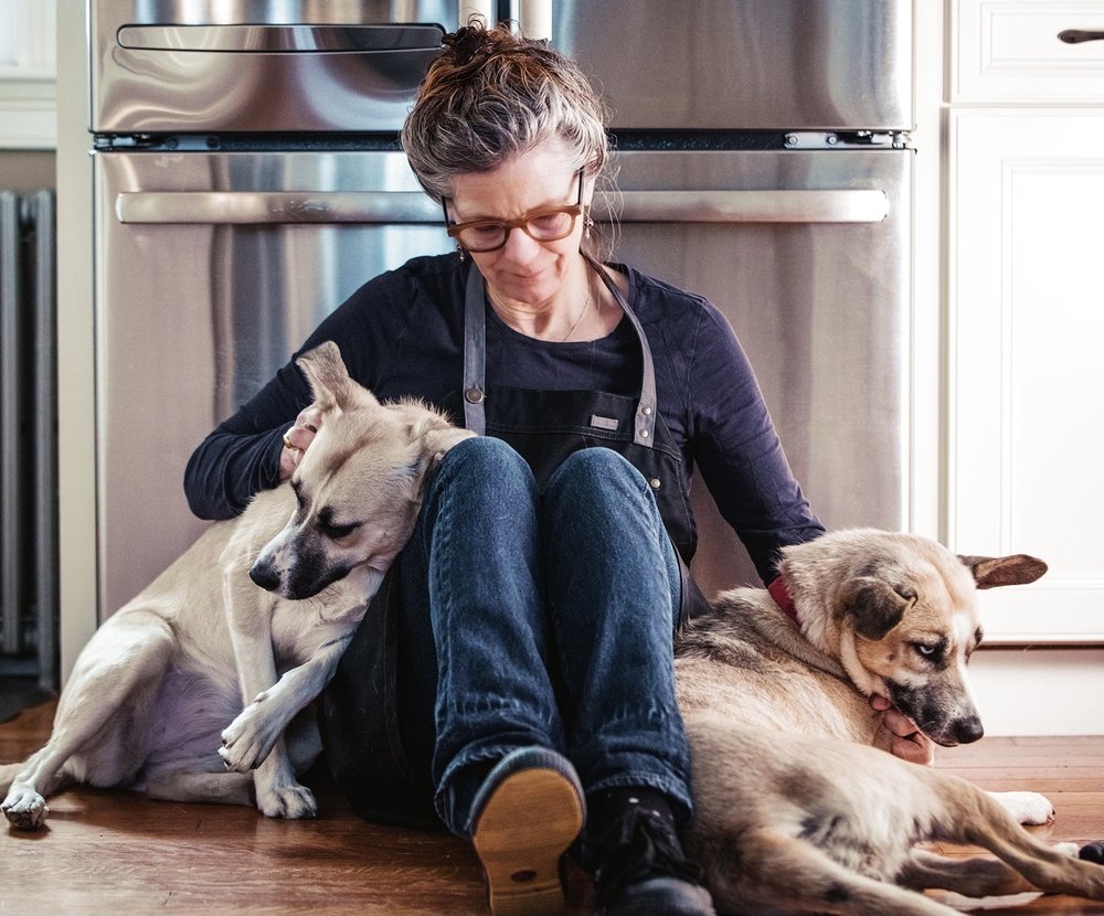 ARGOS DOG TRAINING Updated August 2024 26 Photos & 16 Reviews