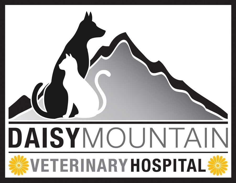 DAISY MOUNTAIN VETERINARY HOSPITAL Updated July 2024 10 Photos & 51