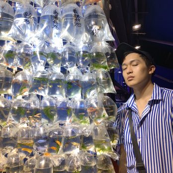 金魚街 - Buy some fish, make someone's day - Pet Stores Near Me - Hong Kong, HK