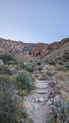 Franklin Mountains State Park by null