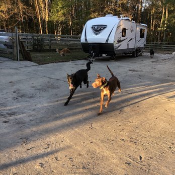 ballypines dog ranch