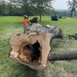 Onyx Tree Service