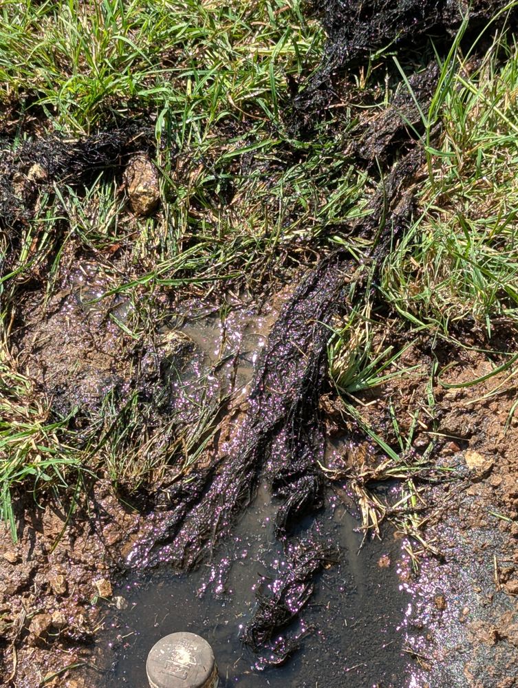 Sandifer Septic - septic in Georgetown, TX