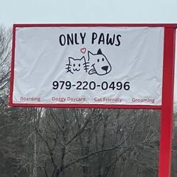 Only Paws