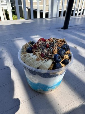 Amazonia Bowl by null