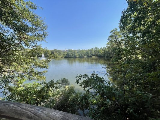 Woodlands Medical Aesthetics Institute