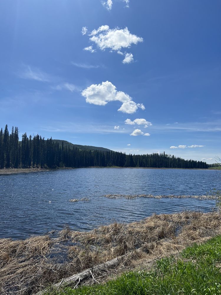 LAC LE JEUNE RESORT & CONFERENCE CENTRE Updated August 2024 25