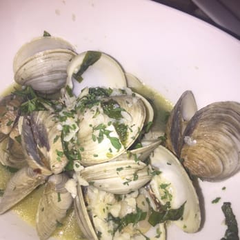 CIBO - Clams - Italian Near Me - Fort Myers, Florida