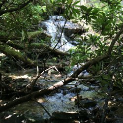Becky Branch Falls - Small waterfall from the culvert under Warwoman Road.