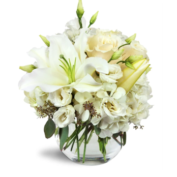 Black Orchid Floral Design - Black Orchid Floral Design - Floral Designers Near Me - Austin, Texas Black Orchid Floral Design - Black Orchid Floral Design - Floral Designers Near Me - Austin, Texas