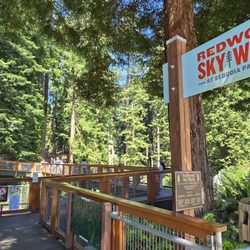The Redwood Sky Walk